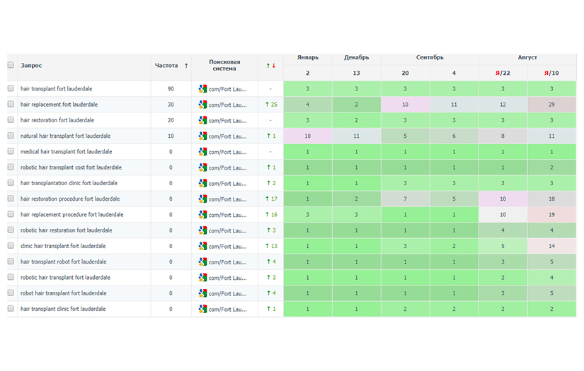 SEO and content marketing strategy for Bringbackhair screenshot 2